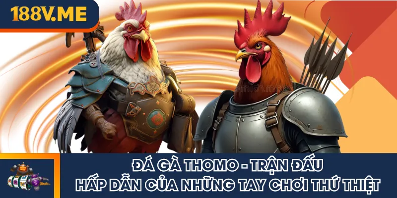 Đá gà Thomo