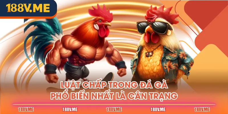 Luật chấp trong đá gà phổ biến nhất là cân trạng